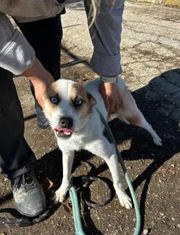 Sozialer BLUE = ein ♥️ voller Hoffnung - München