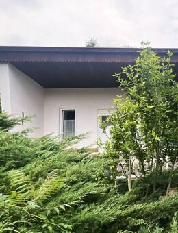 Gemütliches, kleines Wochenendhaus auf sonnigem Eigenlandgrundstück am Schweriner Außensee - Seehof