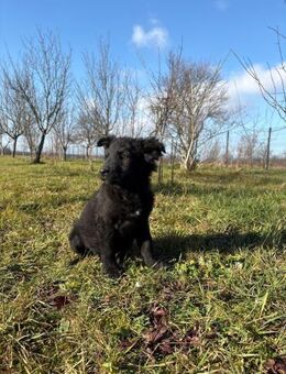 kleine Entdeckerin- Lori - Ellerbek