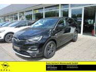 Opel Grandland, 1.2 Turbo EU6d Design Line, Jahr 2021 - Niederahr