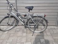 Gudereit RC 60 Herren-Trekkingrad, Rahmenhöhe 53 cm, 28 Zoll Räder - Bad Kreuznach