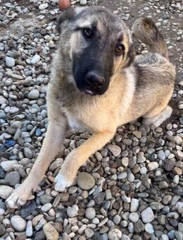 Josephine möchte durchstarten - Schwabach