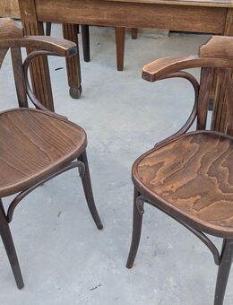 Vintage Klassische Bugholzstühle im Thonet Stil - Witten