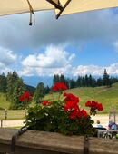 Mann sucht Frau 👩 in 76829
