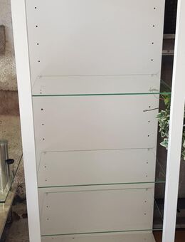 Vitrine Glas mit ESG-Sicherheitsglas VCM Glasvitrine hängend - Stolberg (Rheinland, Kupferstadt)