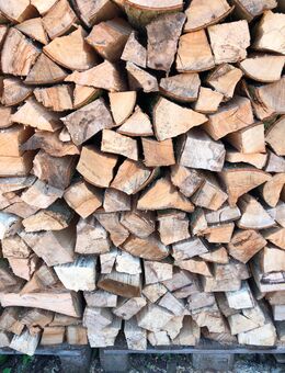 Brennholz Ofenholz - Flieth-Stegelitz