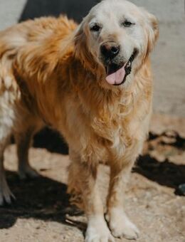 Jackpot Alex - Stuttgart