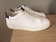 Gant Sneaker Gr 43 wie Neu - Dortmund