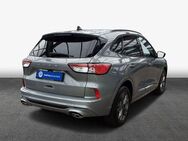 Ford Kuga 2.0 EcoBlue Aut. ST-LINE X - Hildesheim