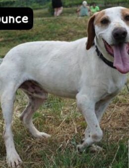 Bounce- Hummeln im Hintern & ... - Kissing