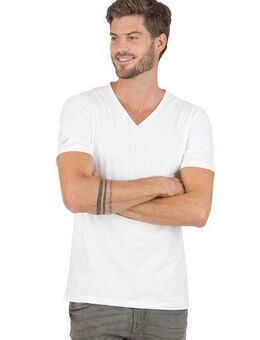 Trigema T-Shirt TRIGEMA V-Shirt aus 100% Bio-Baumwolle (kbA) (1-tlg)