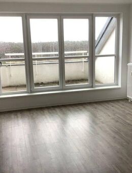 Wenn Potsdam, dann Kirchsteigfeld !! - Potsdam