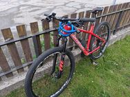 Corratec X-VERT 29 0.3 - Kiefersfelden