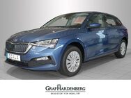 Skoda Scala, 1.0 TSI Cool Plus, Jahr 2020 - Radolfzell (Bodensee)