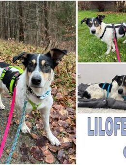 LILOFEE -Bezaubernde, zarte Seele- - Duisburg