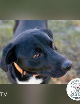 Larry: Sportskanone sucht Gleichgesinnte - Kirchzell