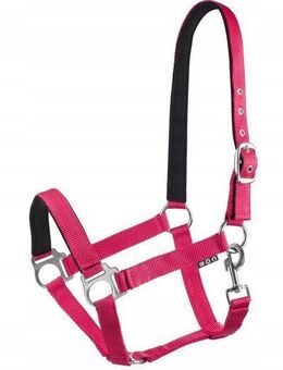 Economic Gefüttertes Pferdehalfter Reitsport Set24252 - Ingolstadt