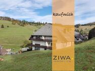 2-Zimmer-Wo mit S-Balkon & Ausblick, alles für's Wochenende/ Kurzurlaub, Keller, Stellpl. außen - Todtnau