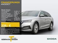 Skoda Octavia, 2.0 TDI Combi FIRST EDITION, Jahr 2021 - Remscheid