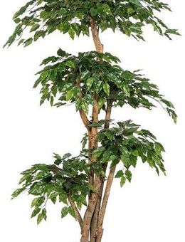 Kunstpflanze Ficus Benjamini, Creativ green, Höhe 170 cm