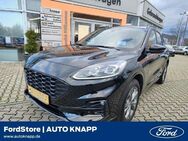 Ford Kuga, 2.5 ST-Line X Panodach LE, Jahr 2021 - Weinheim
