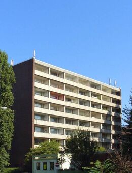 1-Zimmer-Wohnung sucht Single-Nachmieter! - Frankfurt (Main)