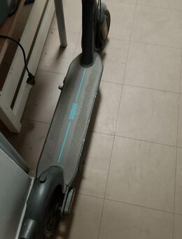 Ninebot Max G30 2 - Hilden