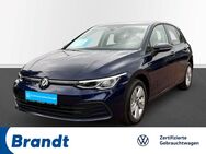 VW Golf, 2.0 TDI VIII Life APP-CON DIGI CP, Jahr 2023 - Weyhe