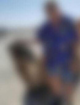 wol*** - Witzenhausen