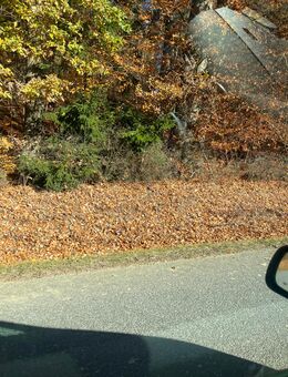 Ich suche Trainings Partner/in - Ergoldsbach