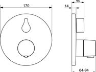 HANSA Brausethermostat HANSALIVING