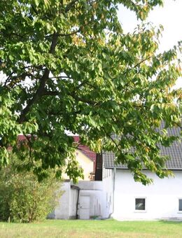 Doppelhaushälfte mit Charme und Potenzial in Frankfurt (Oder) auf großem Grundstück mit Garage - Frankfurt (Oder)