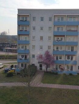 Erdgeschoss Wohnung sucht Mieter ab 01.10.2025 aktuell in Renovierung - Brandenburg (Havel)