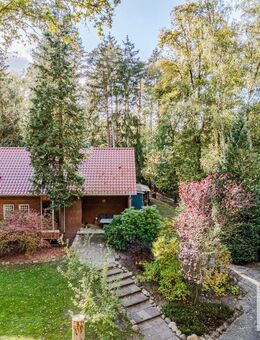 Moderner Waldflair - Bungalow mit Vollkeller für die ganze Familie in St. Dionys - Barum (Landkreis Lüneburg)