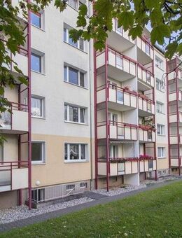 Halbes Jahr-halbe (Kalt) Miete- 49 qm! Michaelstraße! - Chemnitz