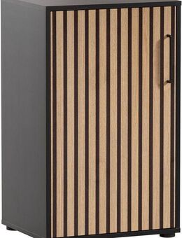 welltime Aktenschrank Hank, MADE IN GERMANY, Breite 50 cm Tür mit Akustikprint, Metallbeschläge, Softclose-Funktion