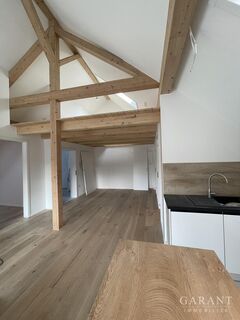 Nur noch zwei Wohnungen verfügbar - ca. 91 m² & ca. 93 m² mit Terrasse und Galerie