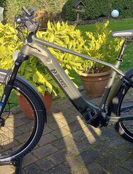 AS Bikeshop: Bikkel FORCA (ATB) Disk 12-G-Shimano SLX 85Nm Mittelmotor 720Wh IntubeAkku - Wegberg