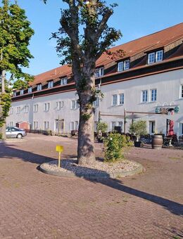 2 Zimmer-Dachgeschosswohnung mit Einbauküche und PKW-Stellplatz im Zentrum von Minden - Minden (Nordrhein-Westfalen)