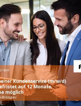 Sachbearbeiter Kundenservice (m/w/d) Vollzeit, befristet auf 12 Monate, Übernahme möglich - Freiburg (Breisgau)
