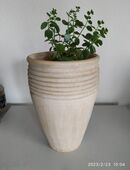 Bodenvase 40cm mit Kies und Pflanze in 36037