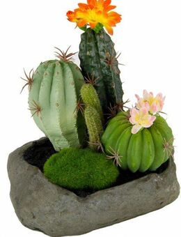 Kunstpflanze Kakteen Kakteen, I.GE.A., Höhe 19 cm