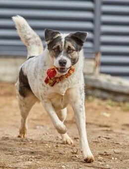 Suri❤️wartet auf ihr eigenes Happy End - Rott (Inn)
