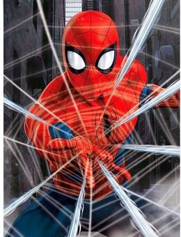 Reinders! Poster Marvel Spiderman - gotcha
