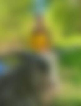 Ing*** - Spangenberg