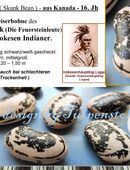 ♥ Historische Bohne Flagg,Irokesen Indianer Bean 16Jh Kanada Reiserbohne der Mohawk Garten schwarz weiß Tulpenstolz,alte Sorte samenfest Rarität Sortenvielfalt in 22457