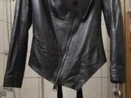 Damen Lederjacke, Gr.42, nagelneu! - Brühl (Nordrhein-Westfalen)