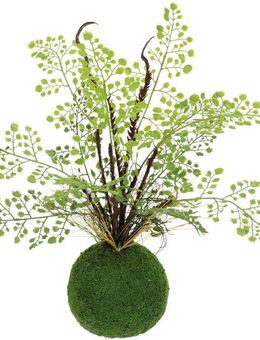 Kunstpflanze Farnbusch auf Mooskugel, I.GE.A., Höhe 33 cm, Künstliche Pflanze Waldfarn