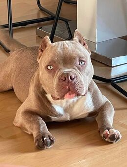 Serg - Ilshofen Zentrum