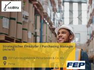 Strategischer Einkäufer / Purchasing Manager (m/w/d) - Pirna